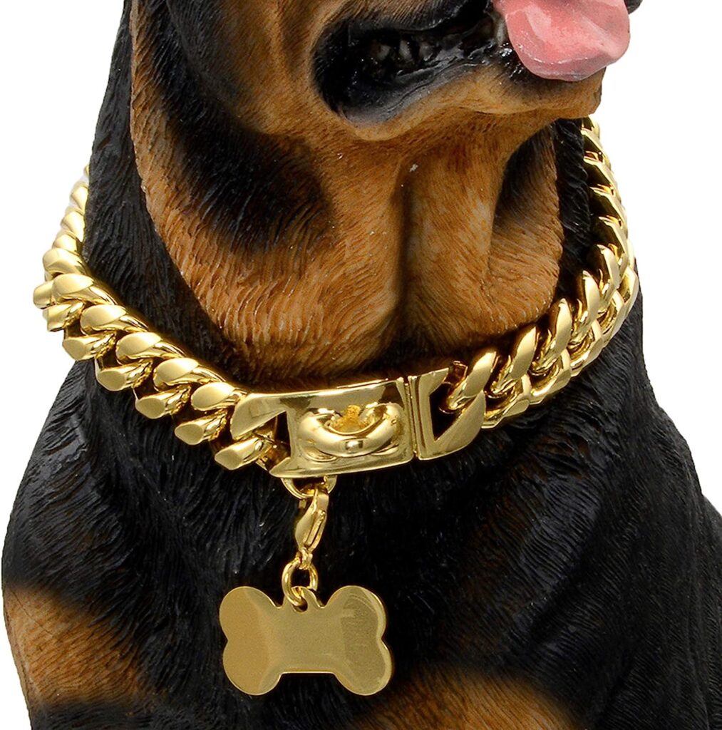 golden dog chain collar