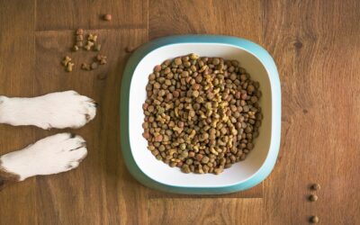 A Comprehensive Badlands Ranch Dog Food Review