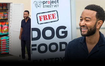 Explore the john legend dog food | is it good ?