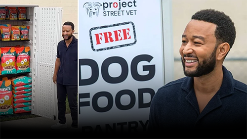 john legend dog food | pet zone city